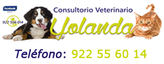 BannerVeterinaria1