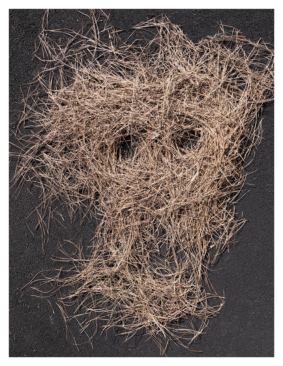 Alexis W Presente Continuo 02